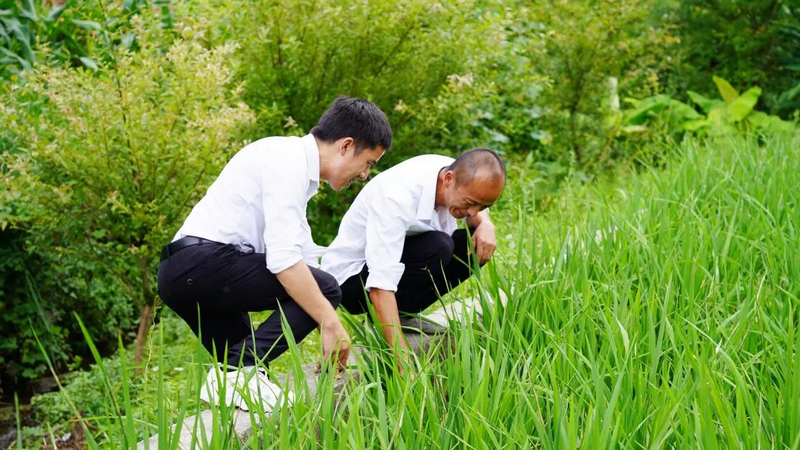 实践团队深入田间地头开展调研。beat365唯一官方网站供图